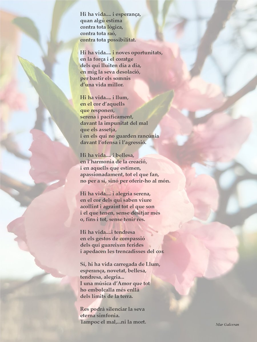 Mar Galceran (@margalceran1) on Twitter photo 