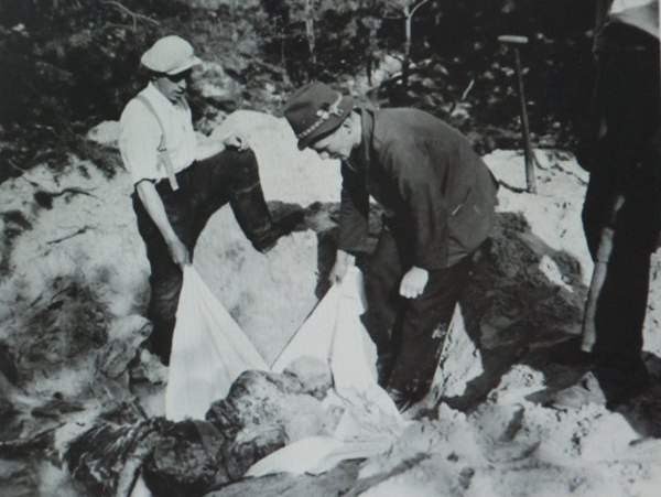 AndreasMFroese's tweet photo. #otd1945: Bei #Gardelegen finden mit Beteiligung der lokalen Bevölkerung Hetzjagden und Morde an entflohenen #KZ-Häftlingen auf Todesmärschen aus Außenlagern der KZ #MittelbauDora und #Neuengamme statt. In #Estedt, #Jävenitz, #Roxförde und #Dolle werden Massaker verübt. 1/x https://t.co/qTwh3yrwyS