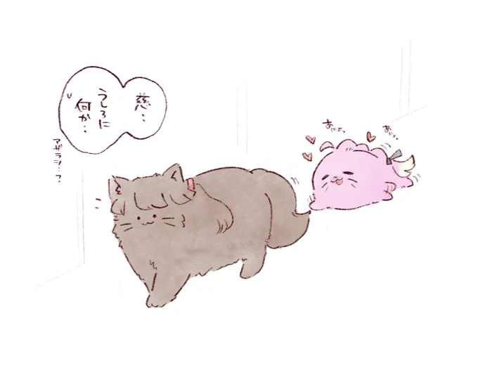 めぐとうさんかな! 