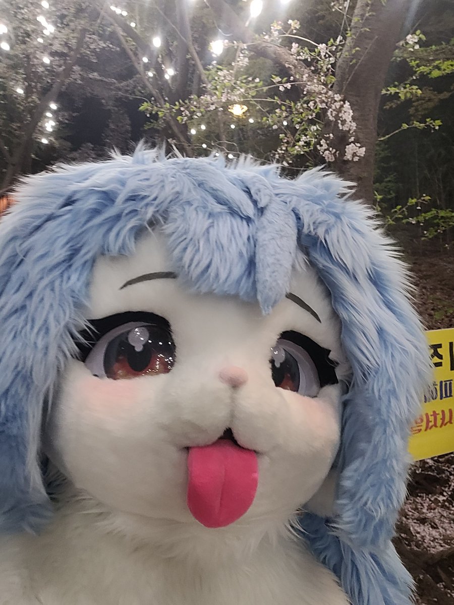 너무 얼빡ㄱ샷인데...

그래도 이쁘니 좋아쓰!!

벚꽃 다졌다요..