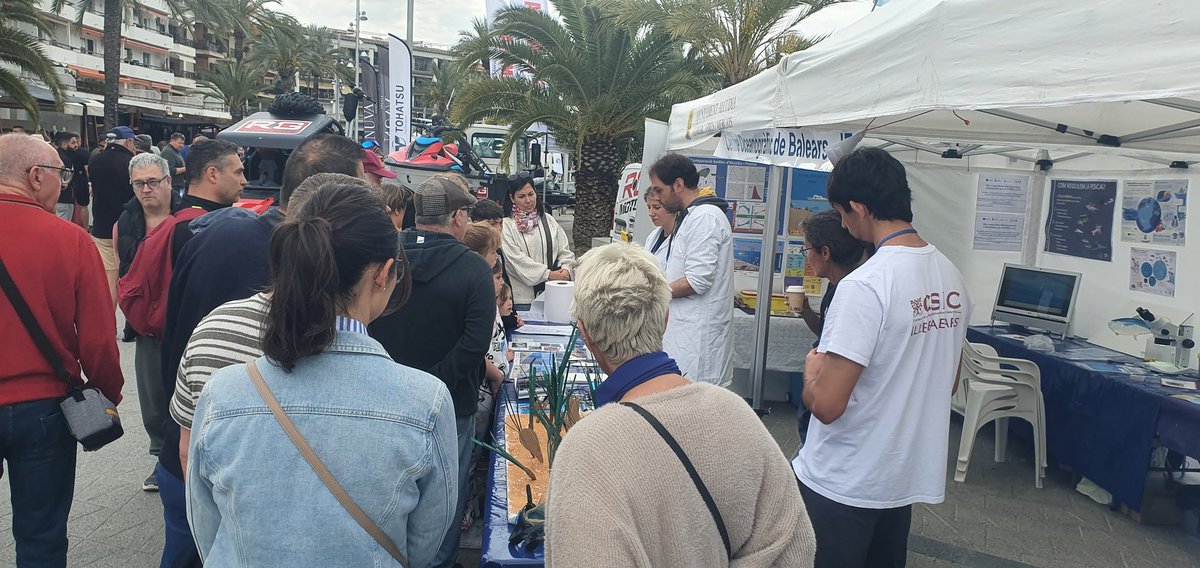 ieo_baleares's tweet photo. Ni tiempo para contaros lo bien que va la #FiraSipia del @ajtalcudia 

Un éxito aunque haya lloviznado 🌦

Seguiremos informando 📢 https://t.co/YBOk7Omm85