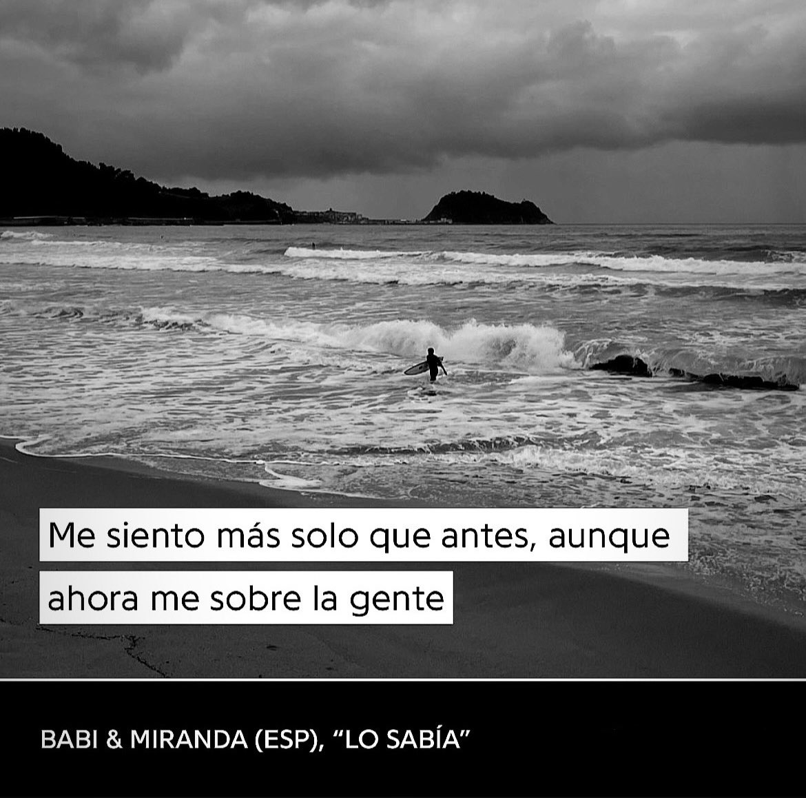 🐆🔊 tweet media