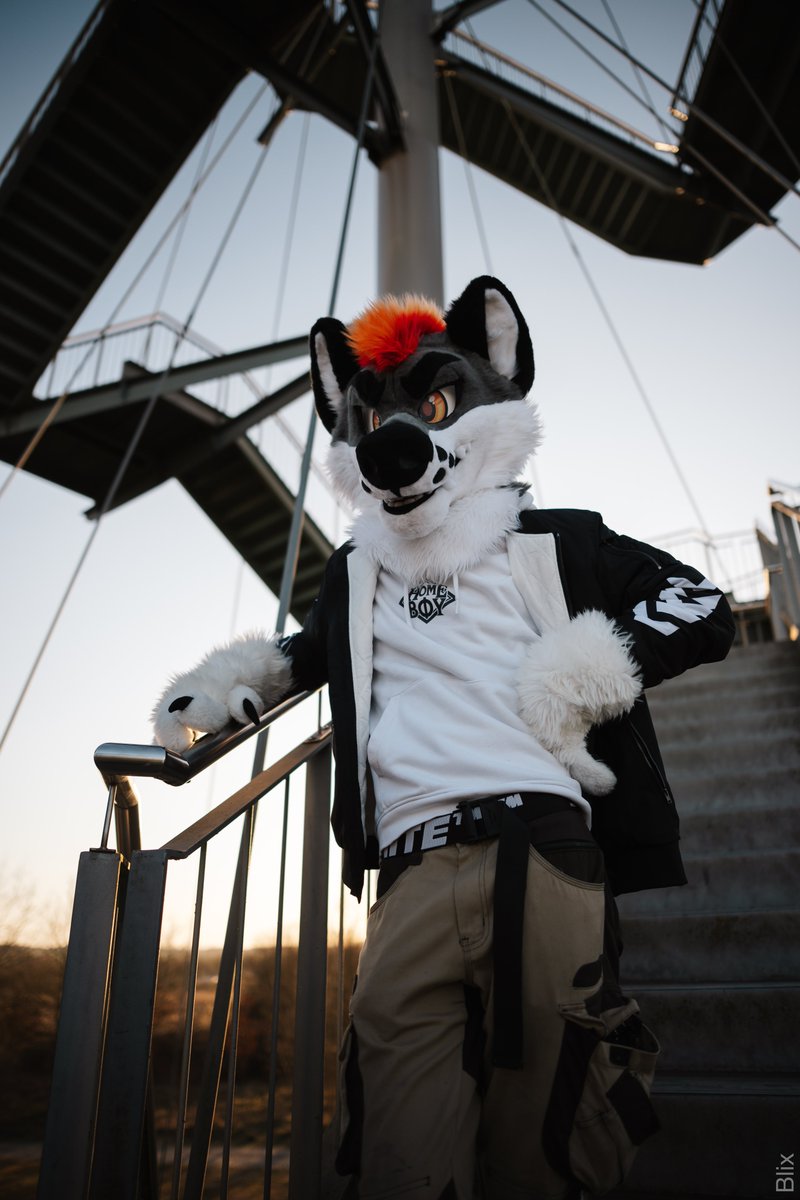 Hey whats up? 
Have a nice view down there?

📸<a href="/BlixFluff/">Blix 🎾</a> 
🪡<a href="/fluffy_d3mon/">Fluffy Demon Creations</a> 

#FursuitEveryday