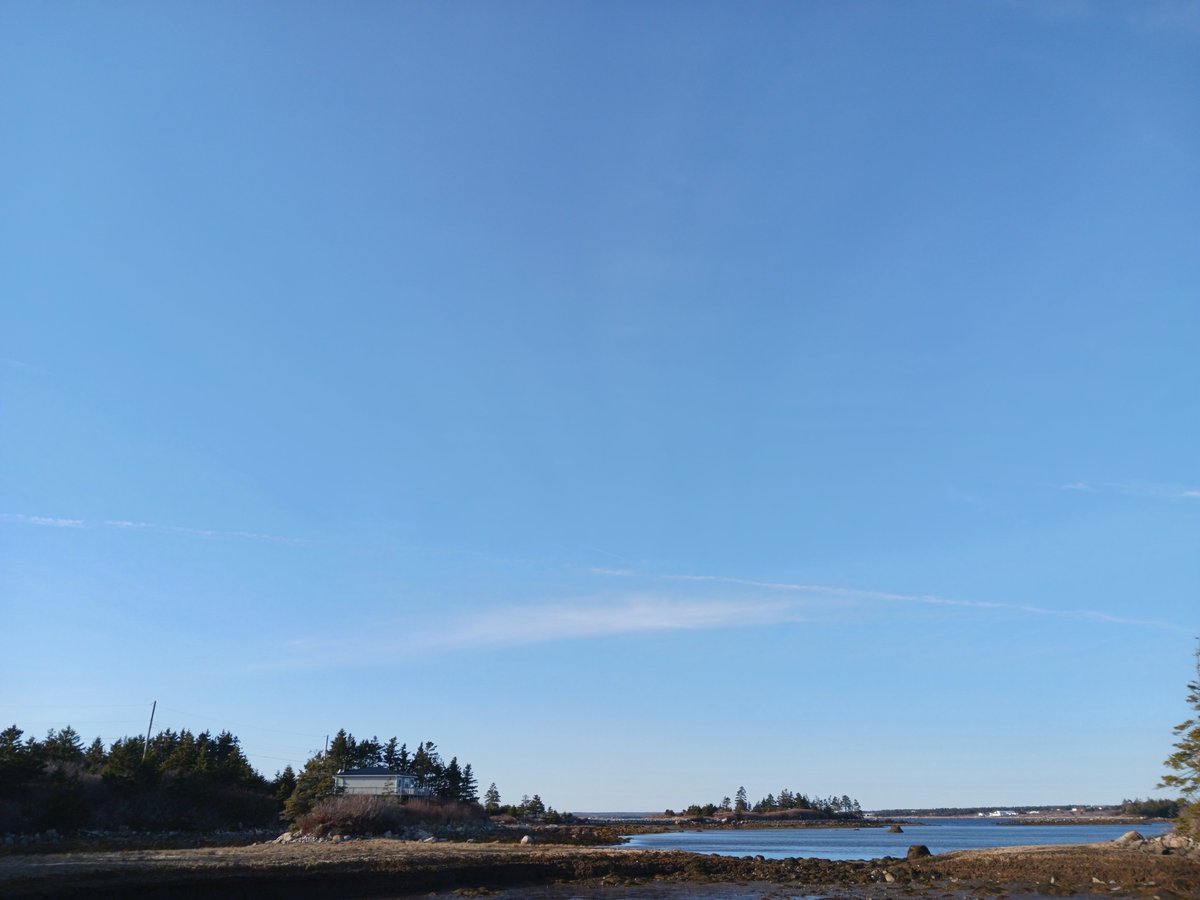ImagesCoast's tweet photo. See the commercial aircraft emit toxic lead exhaust:

Aircraft that are not equipped to spray for weather or biological modification also release heavy concentration of lead that is contained in their tainted fuel.

April 2nd 2025  Nova Scotia, Canada 

#leadedfuel #leadinfuel #chemtrails