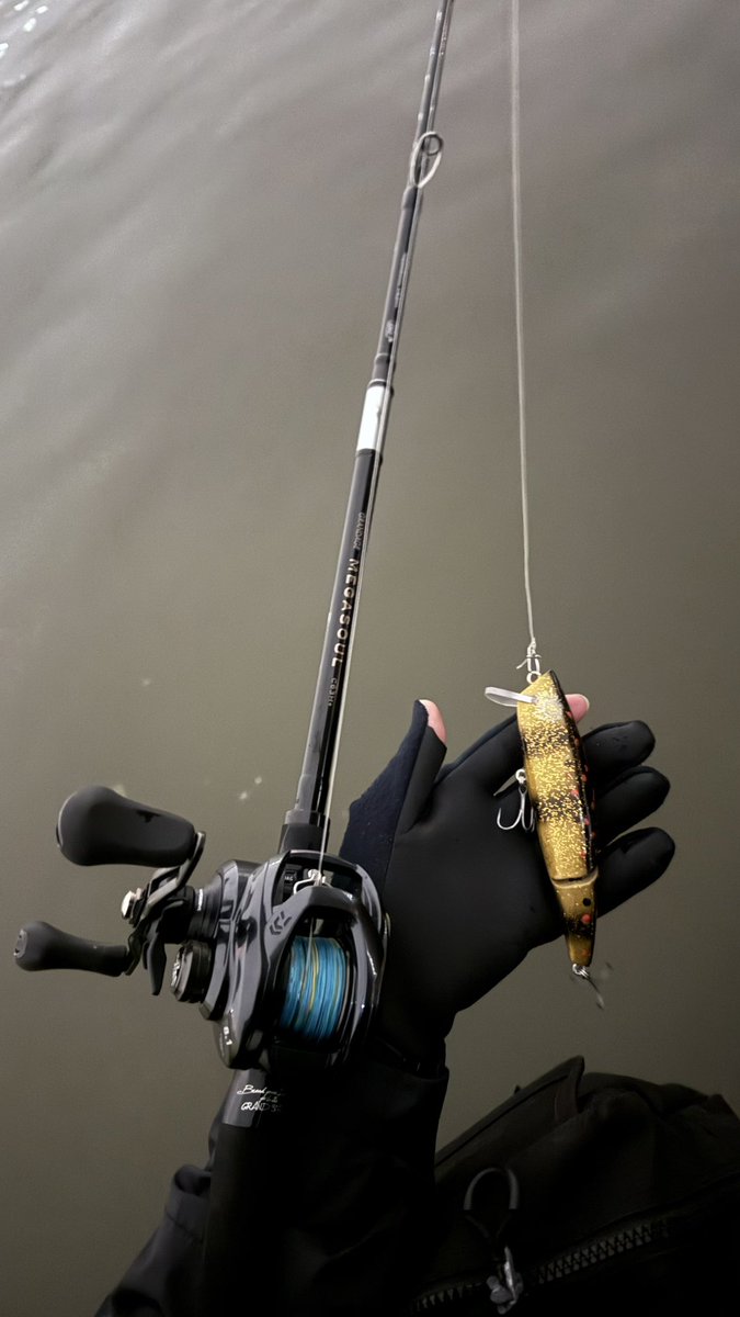 o_seabass's tweet photo. お預かりしたハンドメイドルアーのテスト
飛距離もなかなかだし、艶めかしい動きでいい感じ。
ベイト、、、やべえ…楽しい🔥
#Jewelz 
#短時間釣行 
#先行されてたかつEさんと 
#megasoul #TATURA300 https://t.co/Du9hX6YNPk