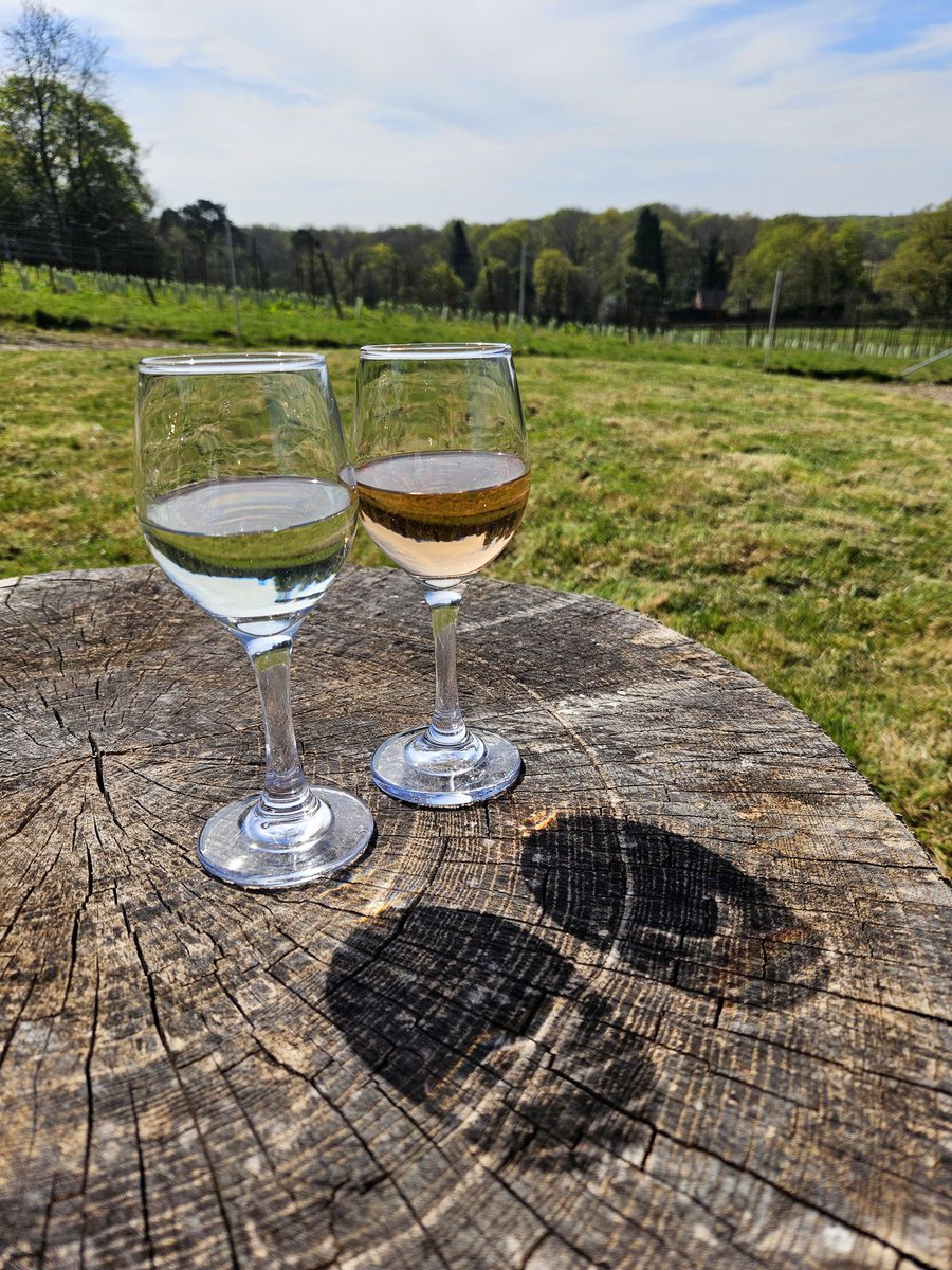 FoodChatMatt's tweet photo. First visit to Tanhurst Estate near Leith Hill. Hope to see these guys join @SurreyVineyards in the near future. 🌱🥂😎 @VisitSurrey https://t.co/NWbyWLPnpL