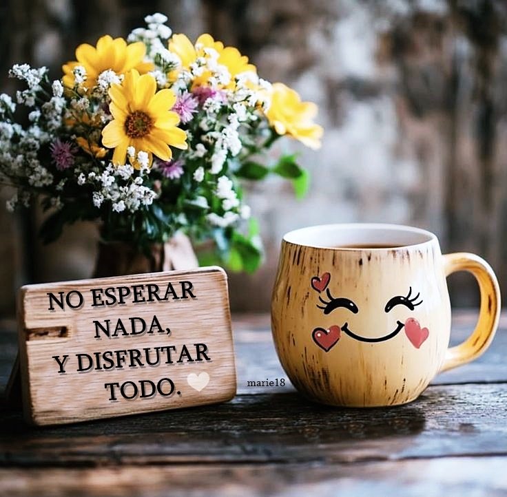 marie18081's tweet photo. ¡Feliz finde!😘🫶🏼☕💐 https://t.co/lyEmvAzbZN