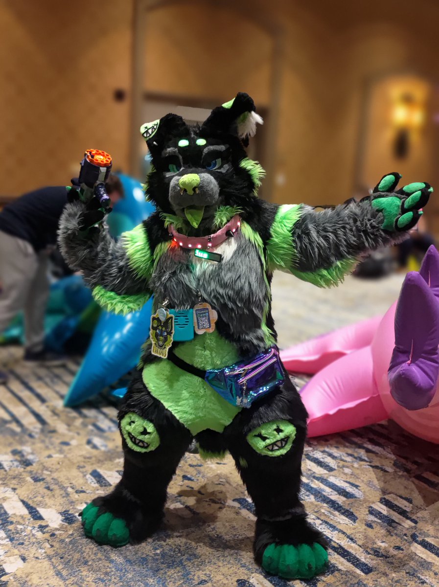 Z3BRA_BUNZ tweet media