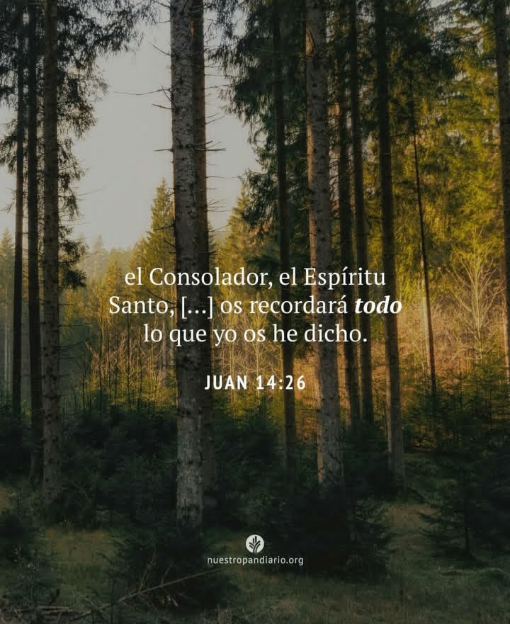 emilia_ferreras's tweet photo. https://t.co/jL3ZYQonL7