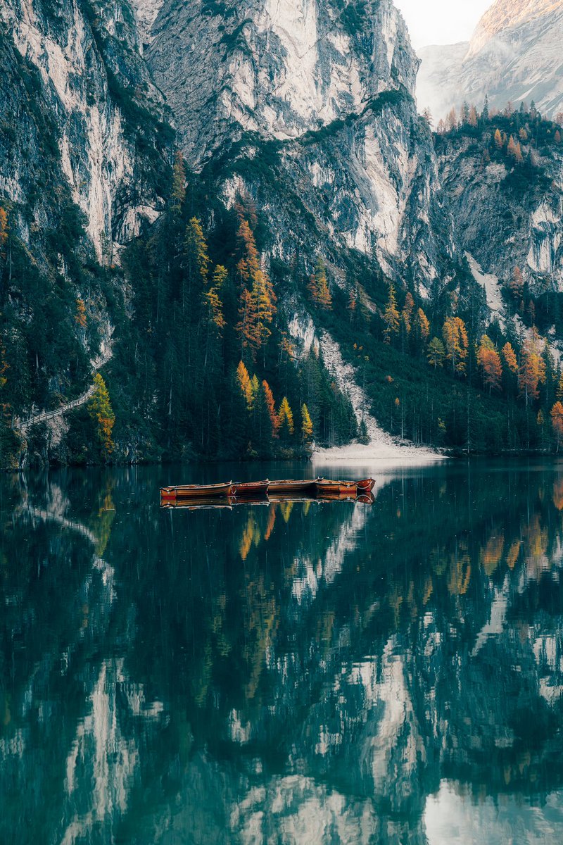 Sony | Alpha tweet media