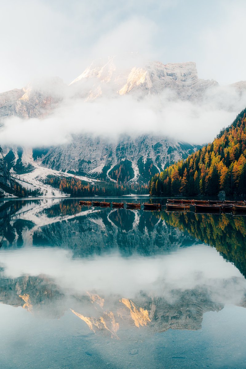 Sony | Alpha tweet media