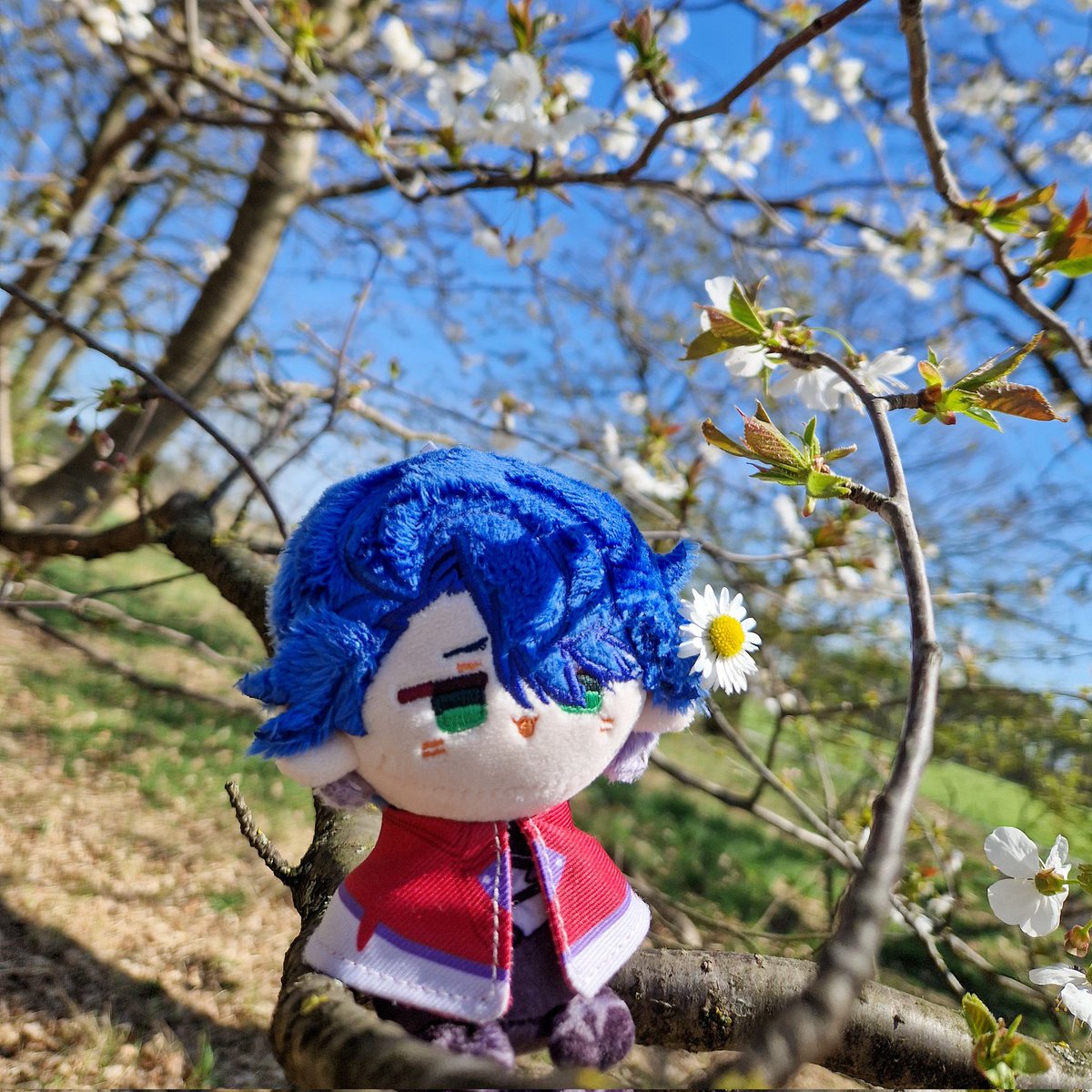 sampolicious_'s tweet image. went outside to touch grass today :33
#sampotwt #sampo