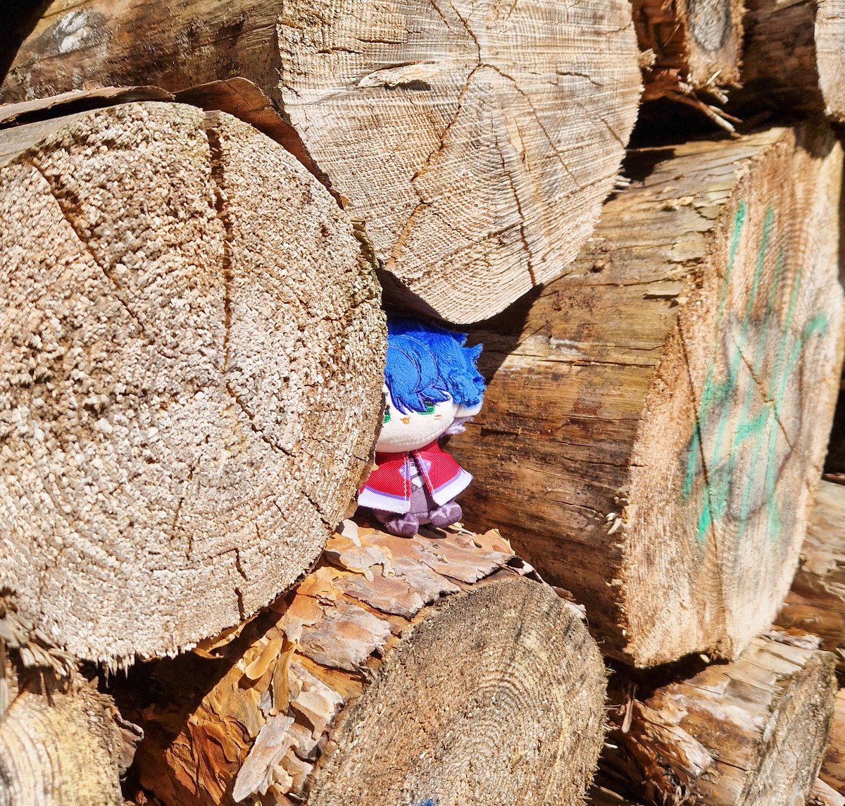 sampolicious_'s tweet image. went outside to touch grass today :33
#sampotwt #sampo