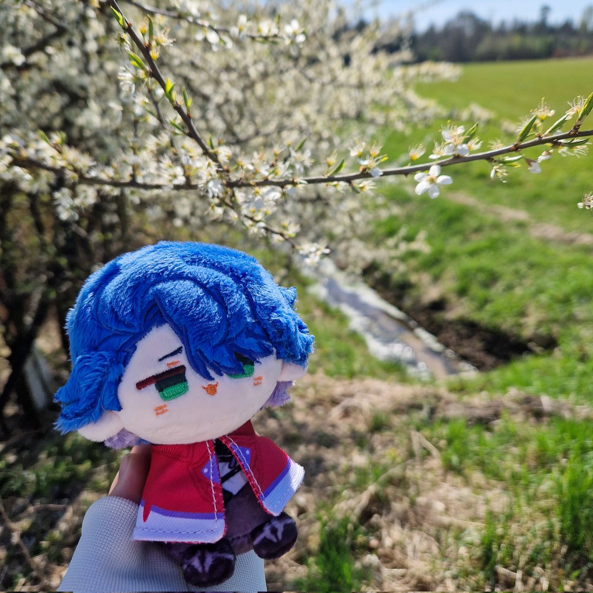 sampolicious_'s tweet image. went outside to touch grass today :33
#sampotwt #sampo