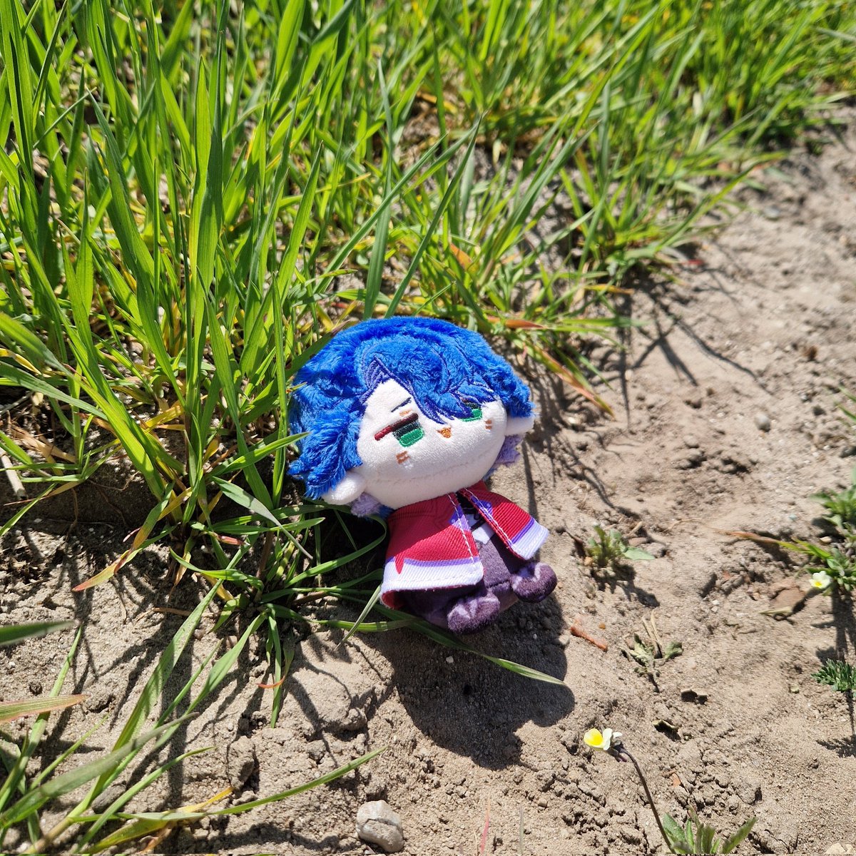 sampolicious_'s tweet image. went outside to touch grass today :33
#sampotwt #sampo