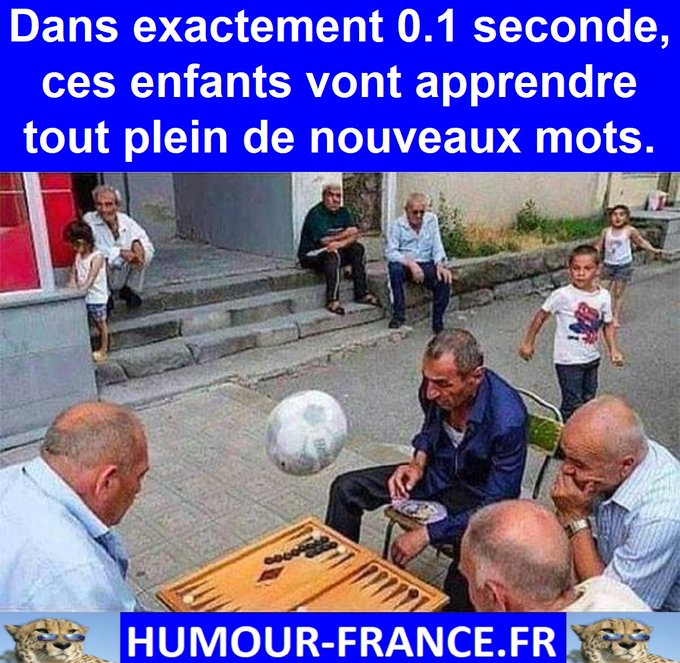 text alternatif