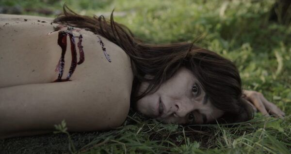 AidaBSanchez's tweet photo. 'Si algo hay en el corto #documental ‘#Amenazados’ dedicado al rescate de fauna salvaje, es puro sentimiento'.

#Amaral es un águila, #AuraGarrido una zorra, y hay que rescatarlas  https://t.co/NxfoBlOl3i @RosaTristan  vía @Elasombrario https://t.co/fmbId8nN5T