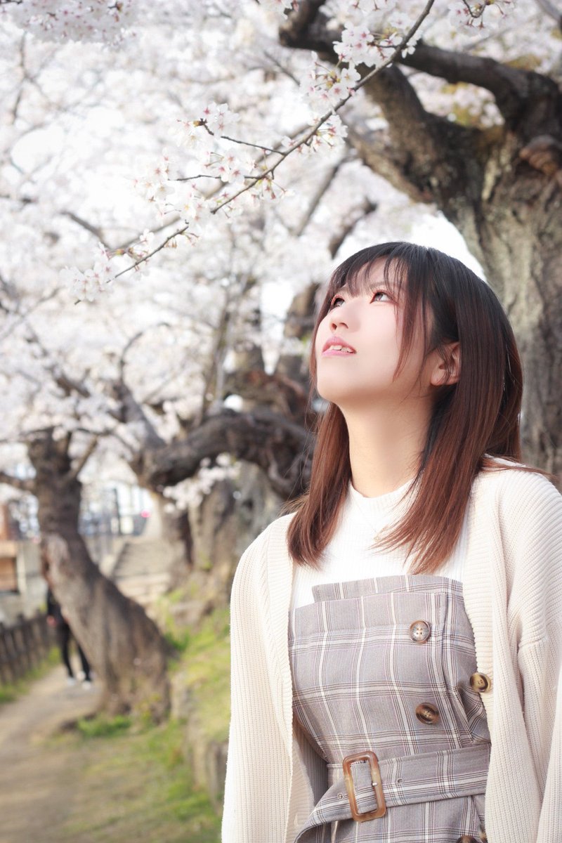 gntmstrb2's tweet photo. ポトレ🌸
選んだら全部同じ向きになった😙
コスしてぇコスメイクしてぇ https://t.co/zM6XNKMEJZ