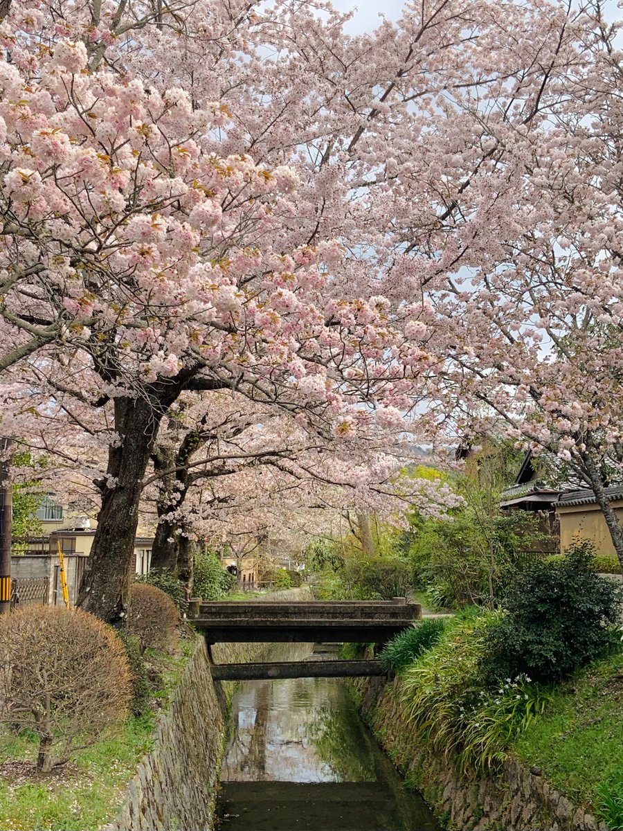 What places do they lead to？🤔