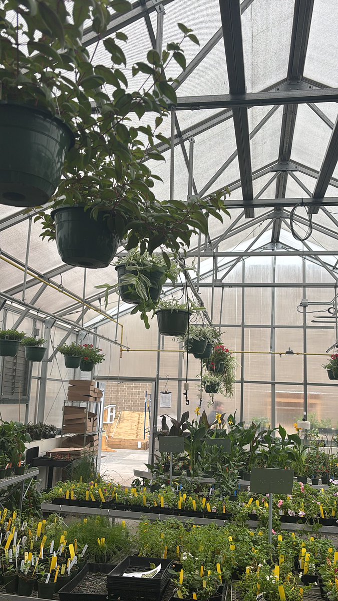 Apex FFA tweet media