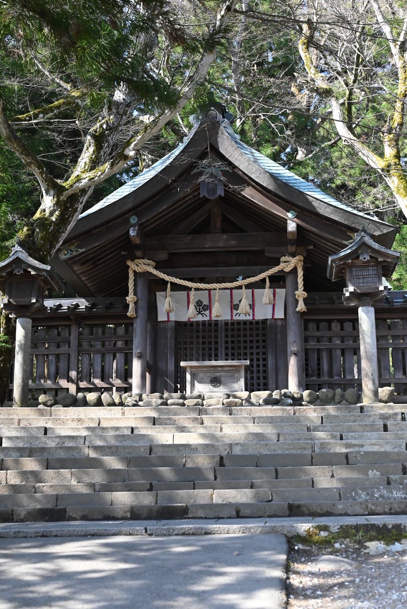mihiro_flot's tweet photo. 南から北へ桜を追いかけて
長野　諏訪へ

来て良かった桜は満開
諏訪大社は清々しく

明日からまた頑張れそうな https://t.co/TDweNfkJuB