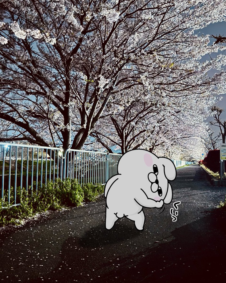 早い者勝ち❗️自作アニマルポップ絵画  原画「ポップキャット」 agmotokawa_michaellur-unionsqear