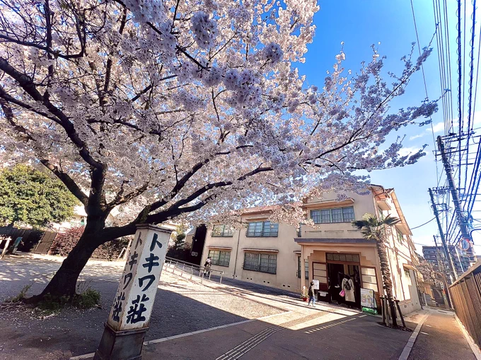 1番良い時期にトキワ荘行ったワシ 