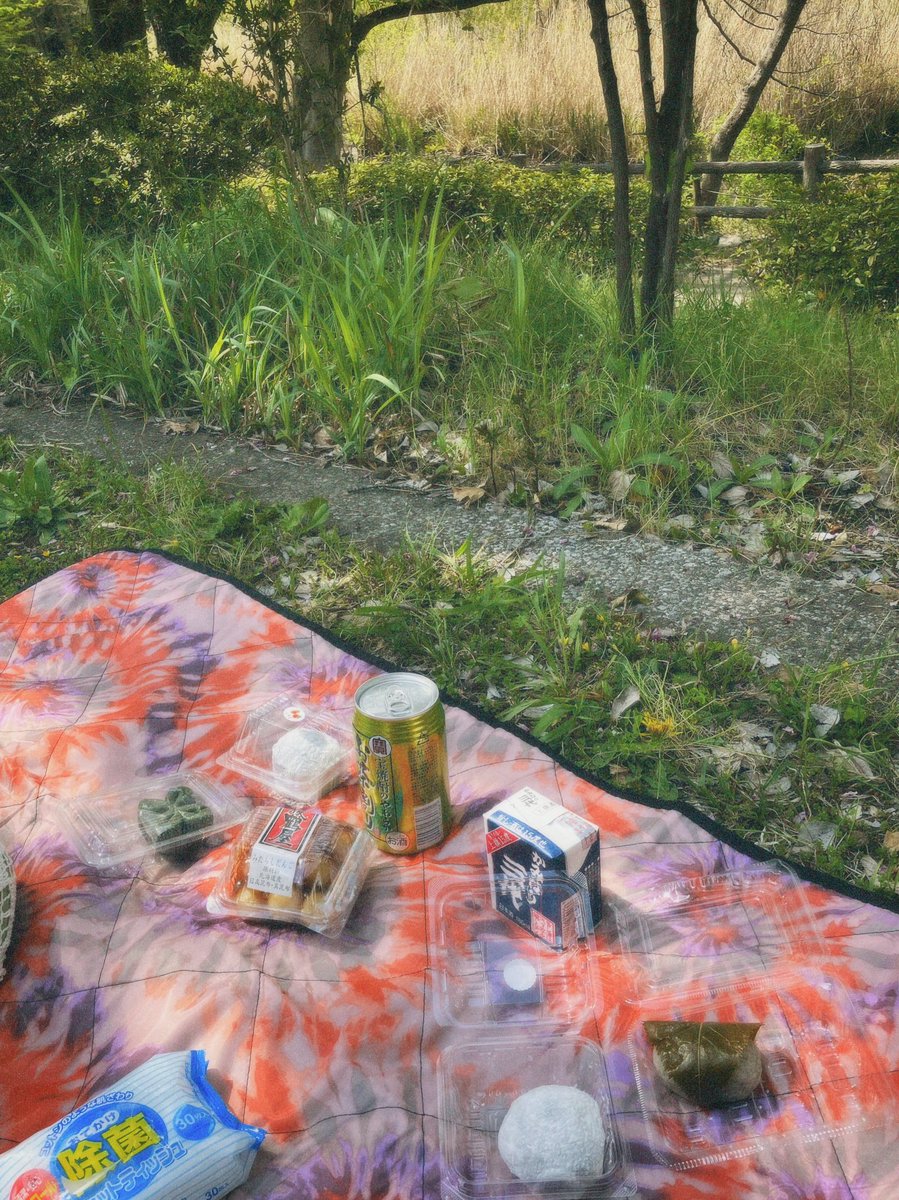 くもちゃんとピクニックした
桜散っちゃう前に幸🌸