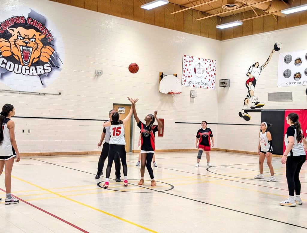 _Mrs_Fernandez's tweet photo. A huge congratulations 🎉 to our Intermediate Girls' basketball team as they advance to the Family Tournament! See you at @STFX_Tweets in two weeks 🏀 Such growth and determination 💪🏼👏🏼 @PeterandPaulCS @DPCDSBSchools https://t.co/k7QQmhu3st