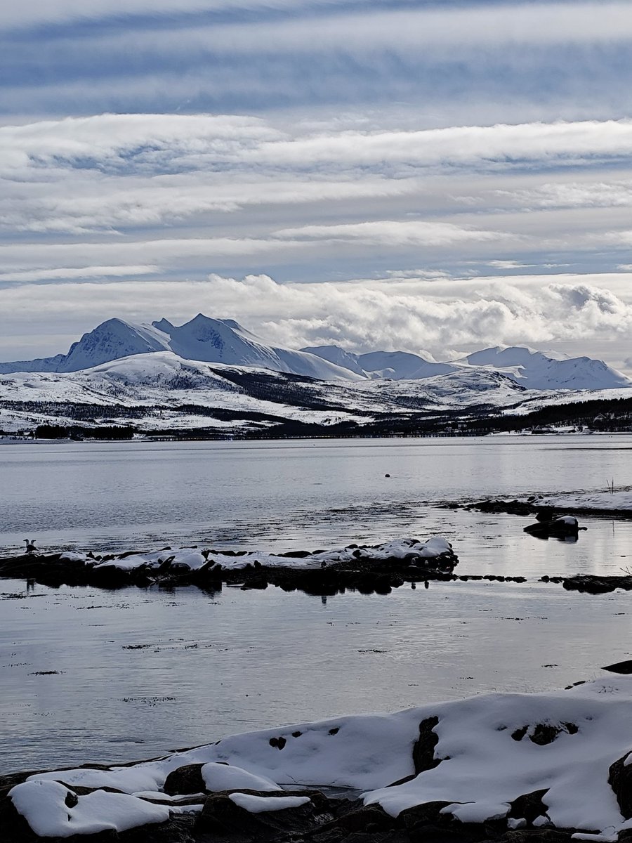 IsaacLesueur's tweet photo. Tromsø 🇧🇻 https://t.co/XkuNl4tjTR