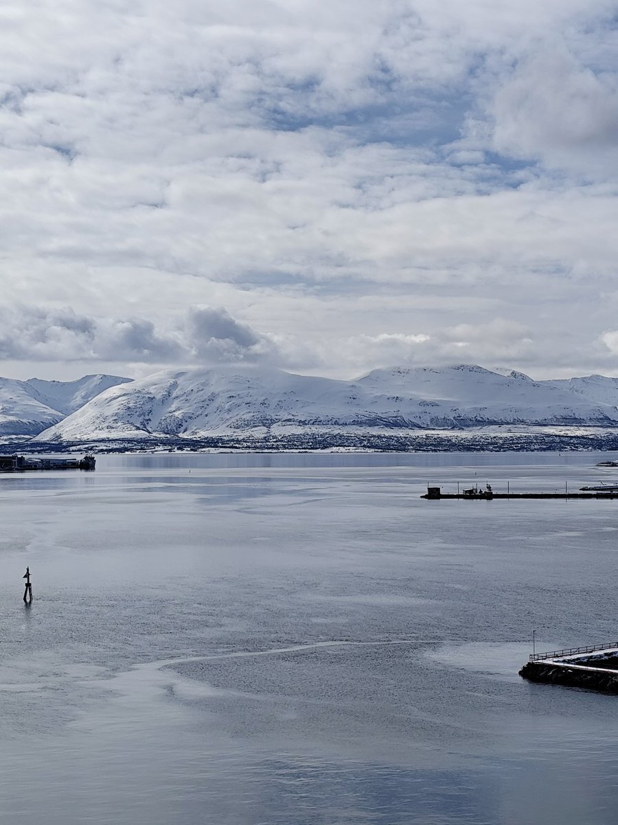 IsaacLesueur's tweet photo. Tromsø 🇧🇻 https://t.co/XkuNl4tjTR
