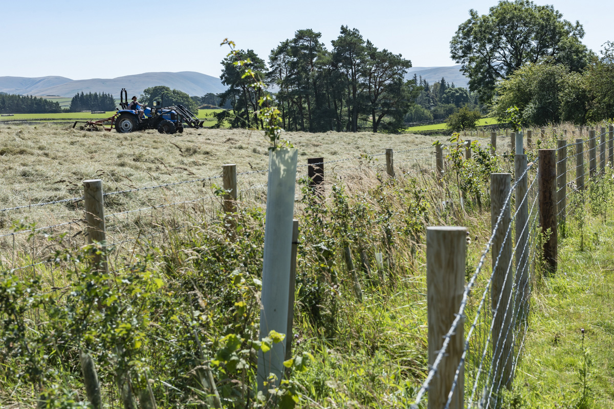 yorkshire_dales's tweet photo. Local farmers who need help funding new projects on their farm have been invited to express an interest in the newly extended Farming in Protected Landscapes grants programme π π³
Find out more and apply π
https://t.co/YcPjWrxGEJ
#YorkshireDales #FiPL #FarmConservation https://t.co/mMieIkB3wm