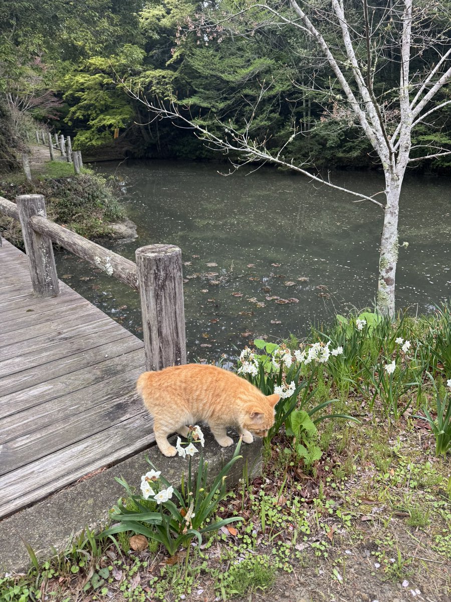 Chihiro Hitomi tweet media