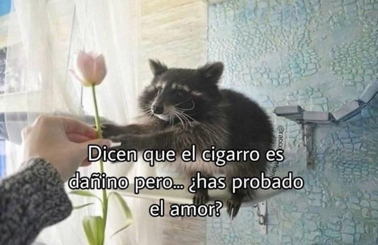 okkkvale 👍 (@okkkvale) on Twitter photo 