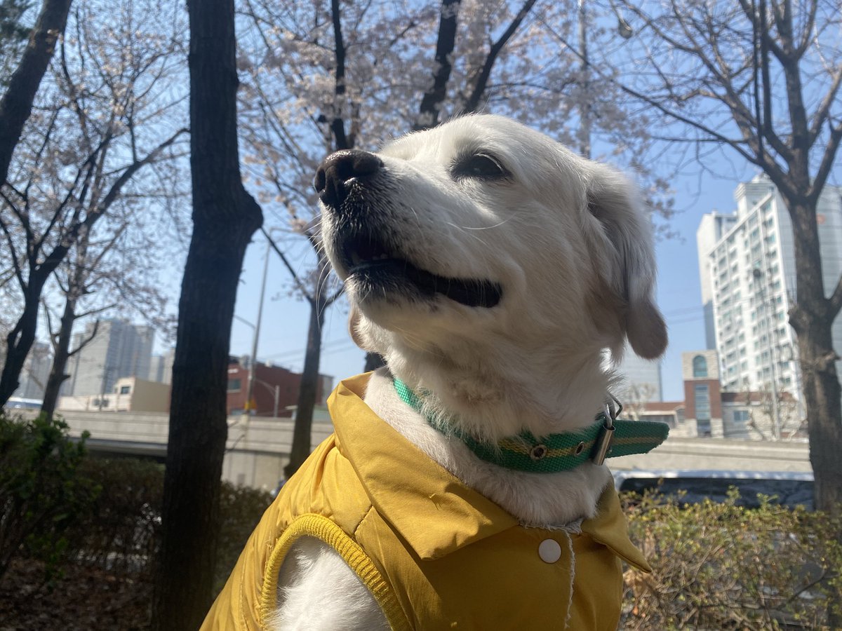 더 큰 도약과 발전미 있음