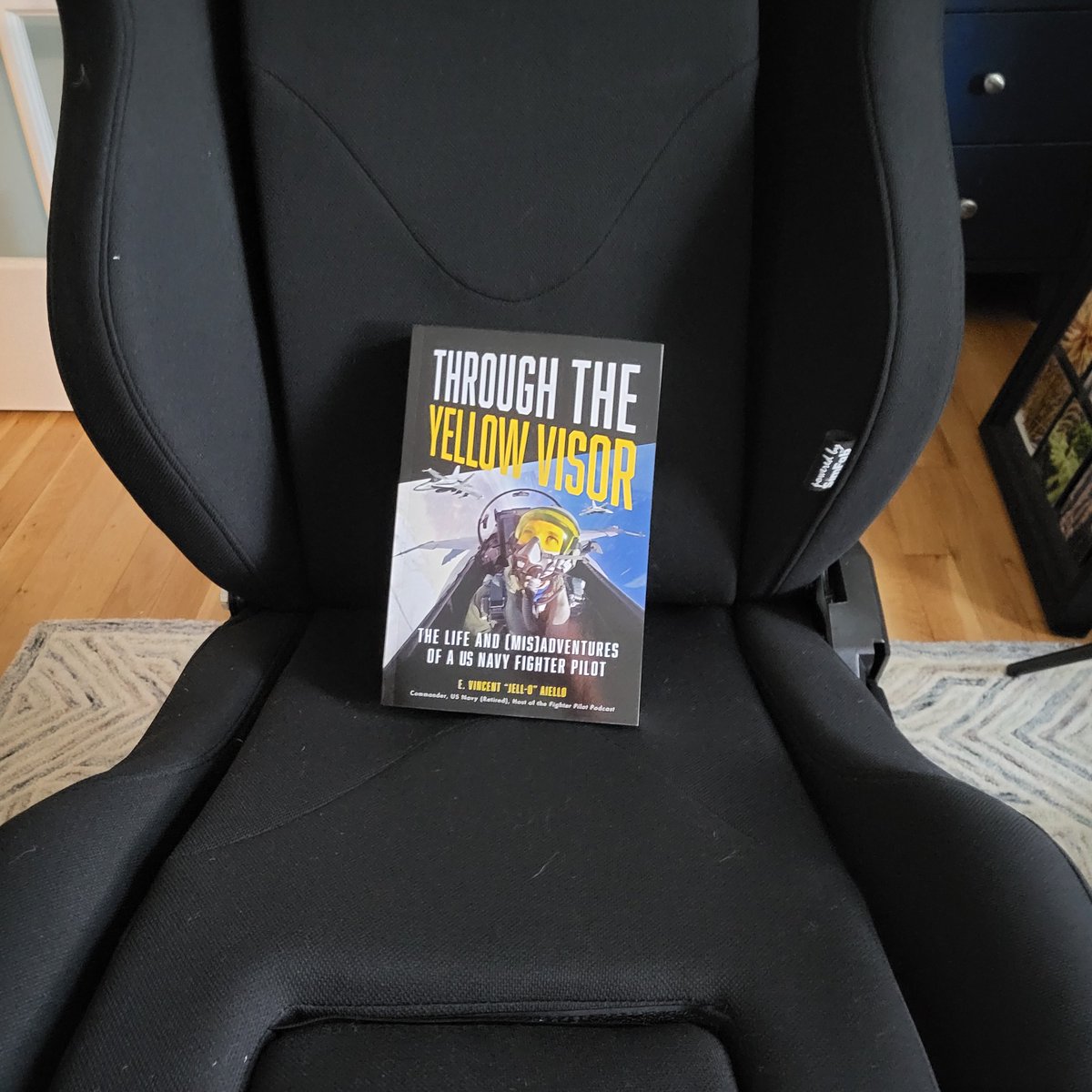 HookNathan's tweet image. Trying to put my new #simfab #dcsworld flightchair together and yet another distraction arrived from @ftrpltpdcst.