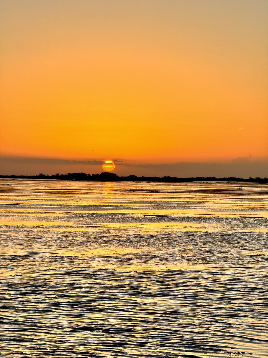 JB Bassmaster tweet media