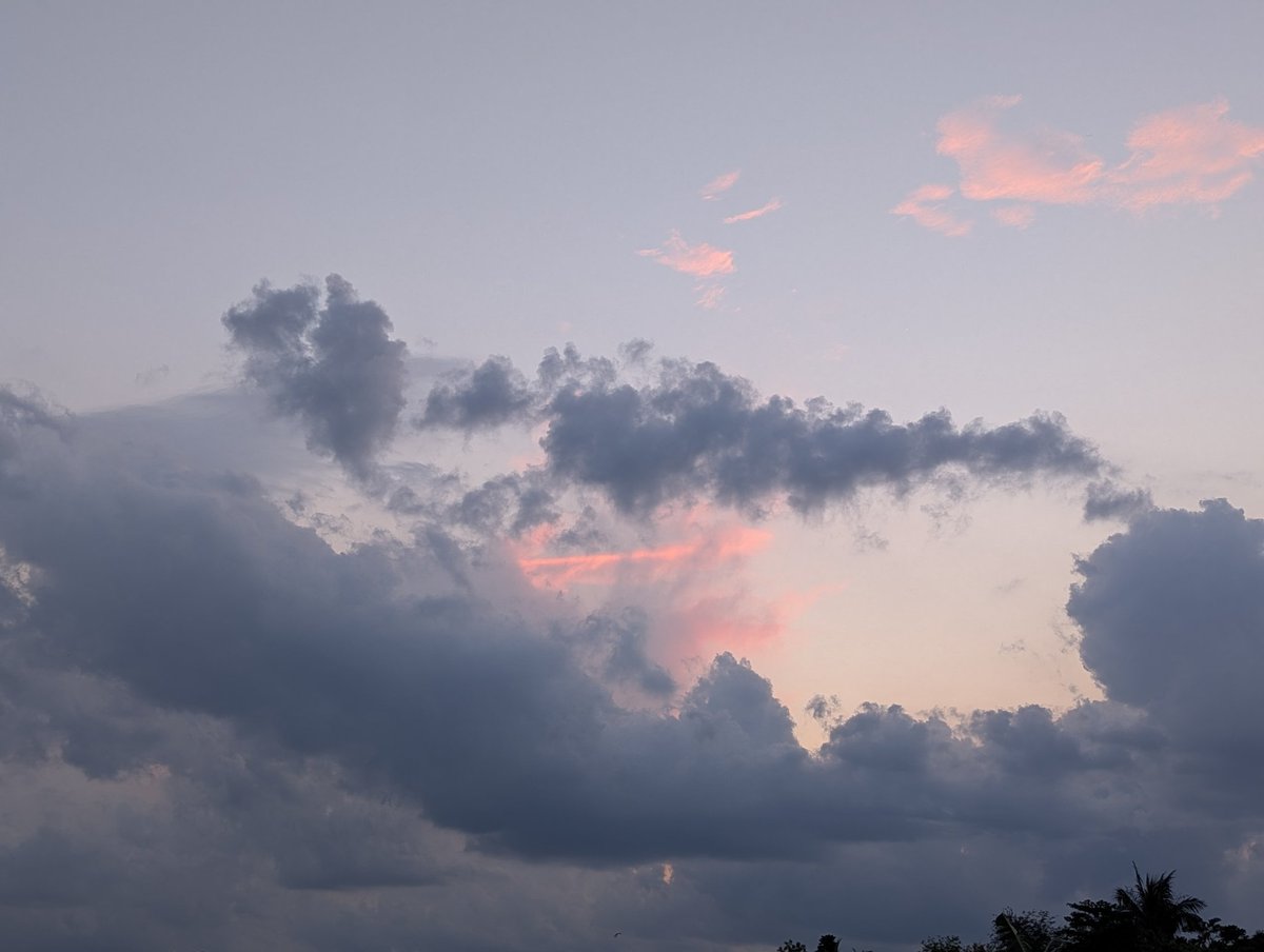 Soriful Sheikh (@sheikh_soriful1) on Twitter photo 