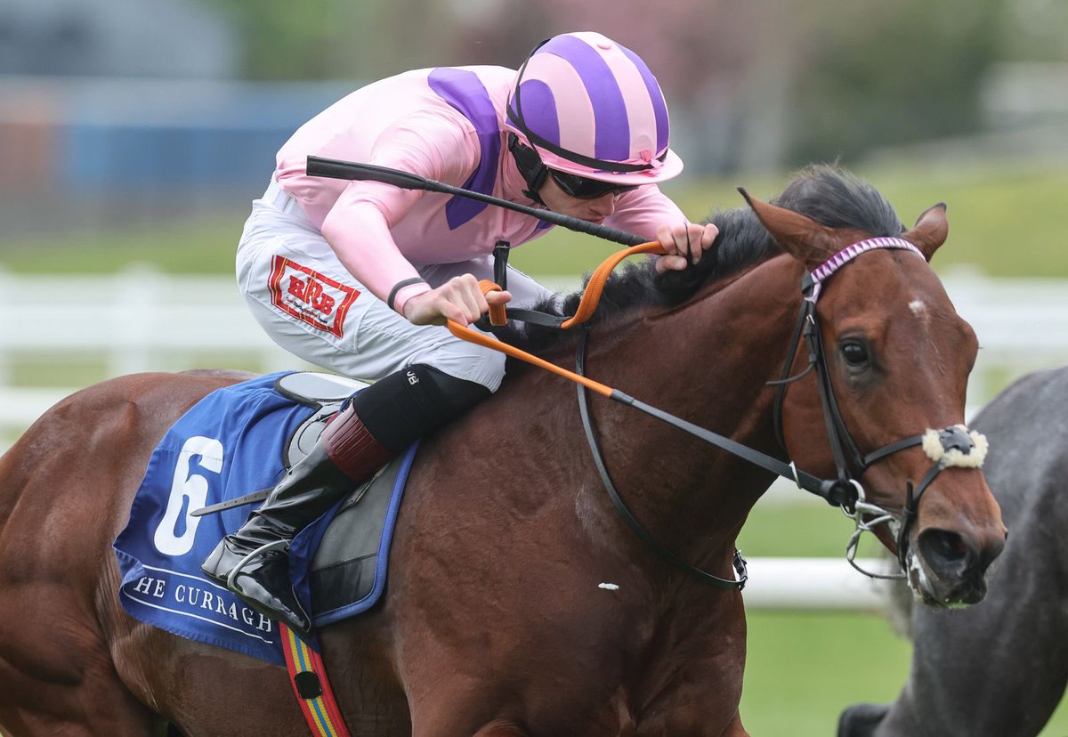 The Curragh Racecourse tweet media