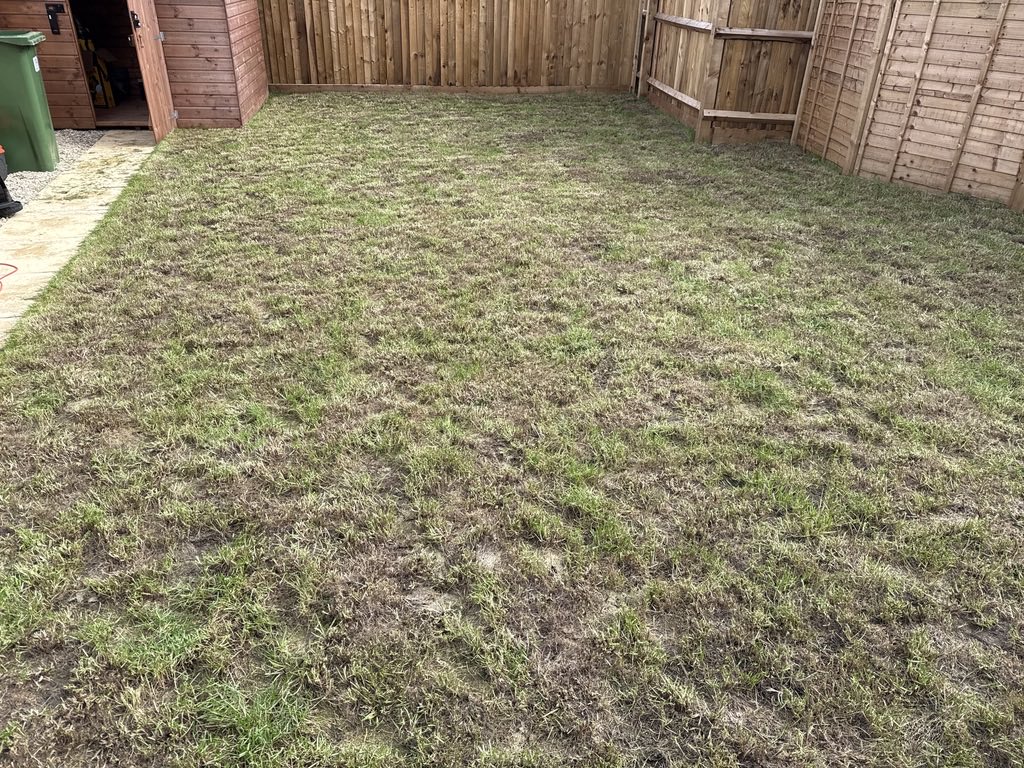 lgladdy's tweet image. I’m a lawnsman now.
I’ve brought my lawn back to life over the last 4 weeks. I’m not sure I’ve ever put more effort into something but the before and after is pretty great.