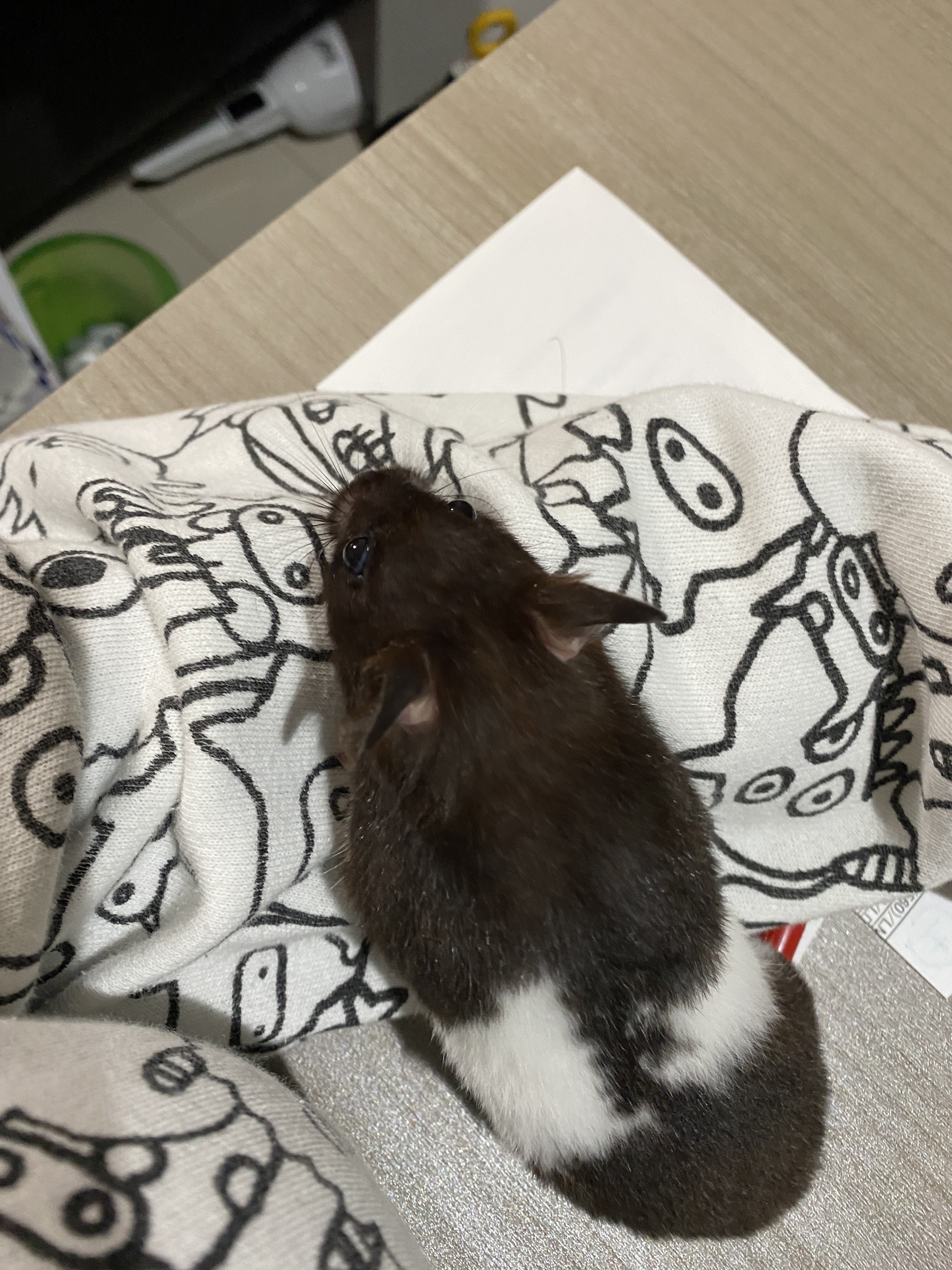 【mimiko様⭐︎】 エクストラパック 第30弾 みこどるっ！ ｜ Z/X - Zillions of