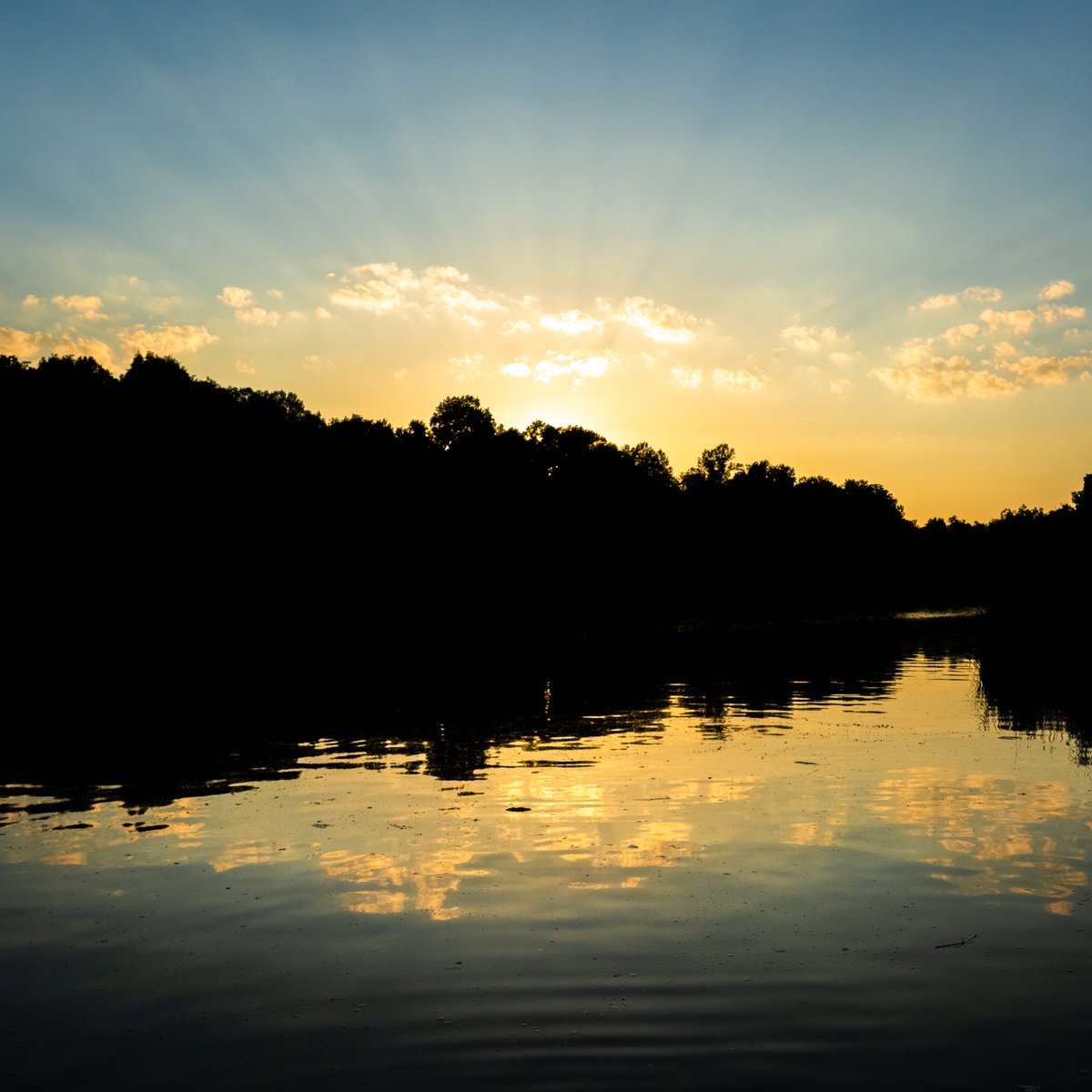 Sunsets are better at your Great Parks. 

📍 Miami Whitewater Forest

Share your favorite 👇