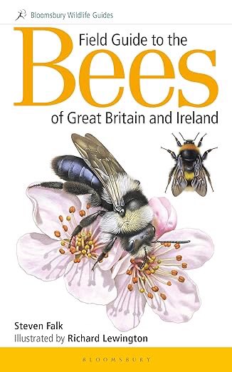Richard Lewington (@rlewington2) on Twitter photo Excellent article by <a href="/StevenFalk1/">Steven Falk</a> in <a href="/britwildlife/">British Wildlife Mag</a> about 14 species of bee new to Britain, since the publication of our field guide - 10years ago! Excellent article by <a href="/StevenFalk1/">Steven Falk</a> in <a href="/britwildlife/">British Wildlife Mag</a> about 14 species of bee new to Britain, since the publication of our field guide - 10years ago!