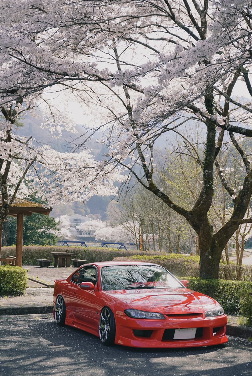 NissanS15red's tweet photo. 愛車と20回目の春 https://t.co/pREOXxQ1D7