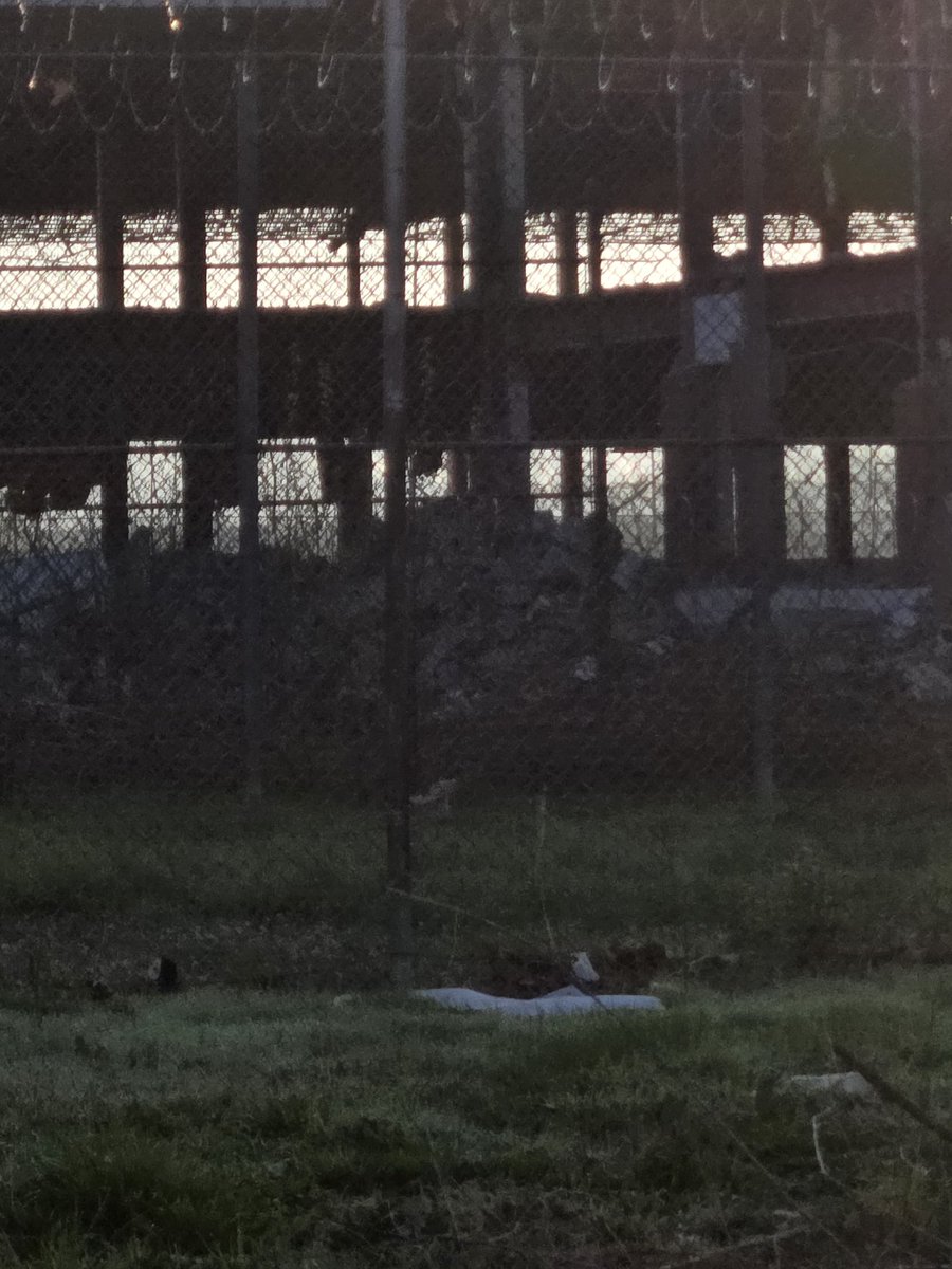 Equal rights, lefts, and uppercuts tweet media