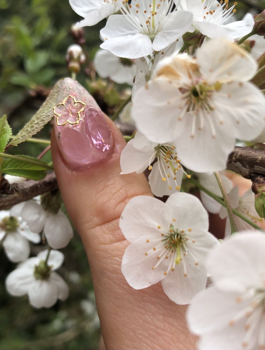 MyChoiceACE0523's tweet photo. #sakura #nailart #blossom #cherryblossomnails https://t.co/yQRDOK5l1s