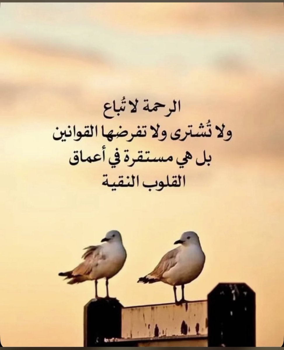 goodi500's tweet photo. نحن من طين، يوجعنا الأذى، يجرحنا صغير الشوك، تجبرنا رحمة الله https://t.co/f4eYPc2yWf