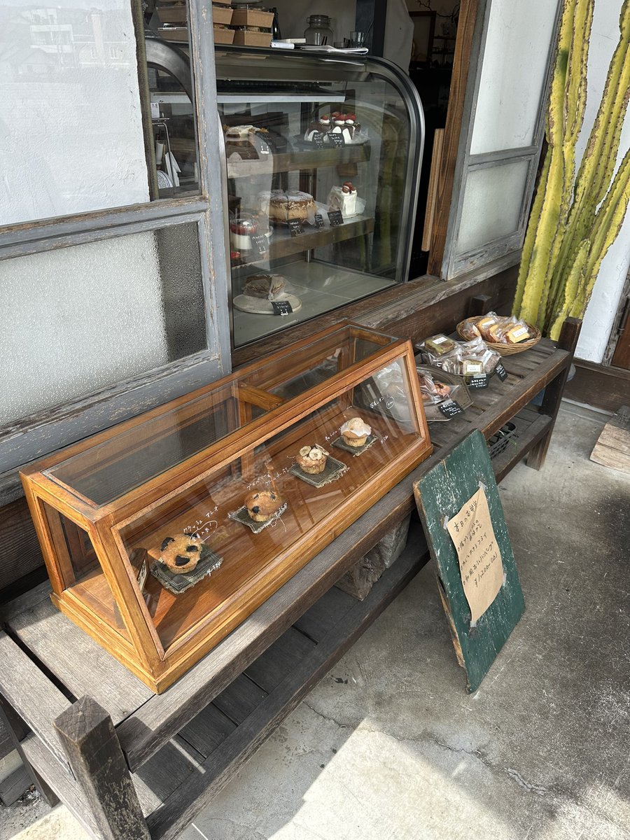パン買ってピクニックしながらぼーっとするの日々