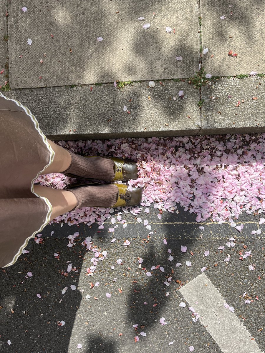 sayna .*ೃ tweet media