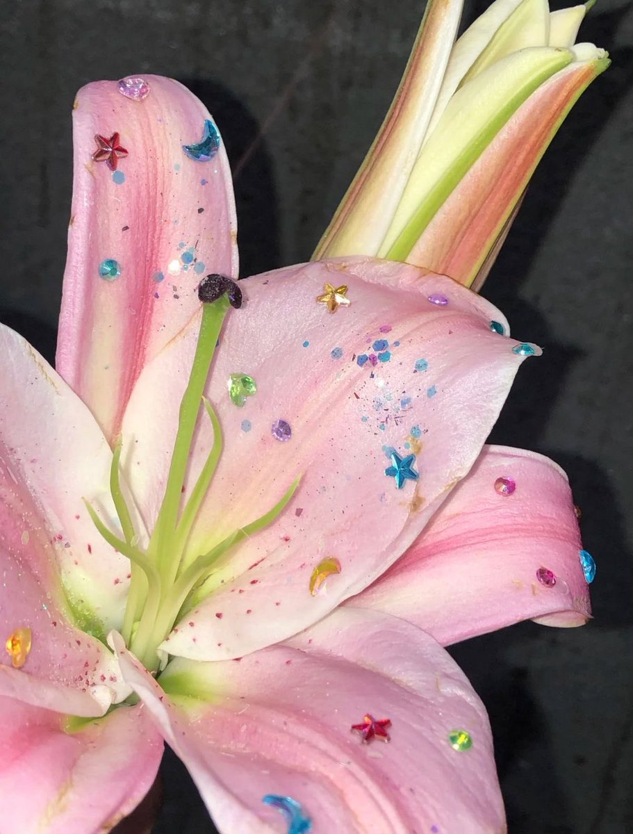 ‏ْ (@piinkifairy) on Twitter photo 